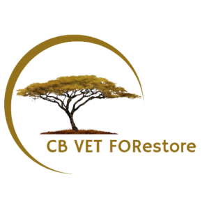 FORestore Mooc platform